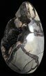 Polished Septarian Geode Sculpture - Black Crystals #55010-2